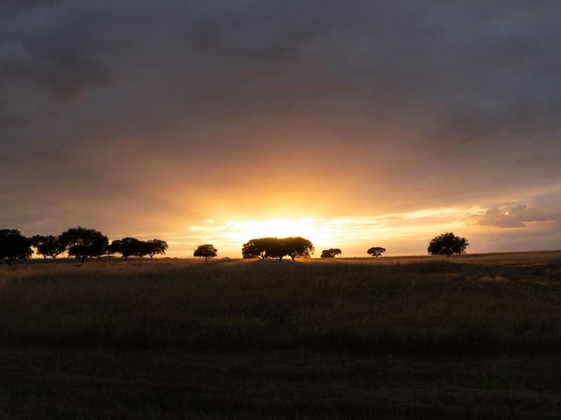 Terreno rural ao pôr do sol, para promoção imobiliária em Portugal