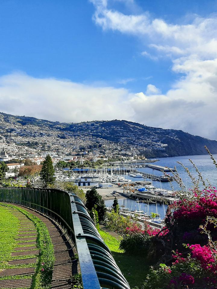 Funchal, na ilha da Madeira, com a marina e a encosta